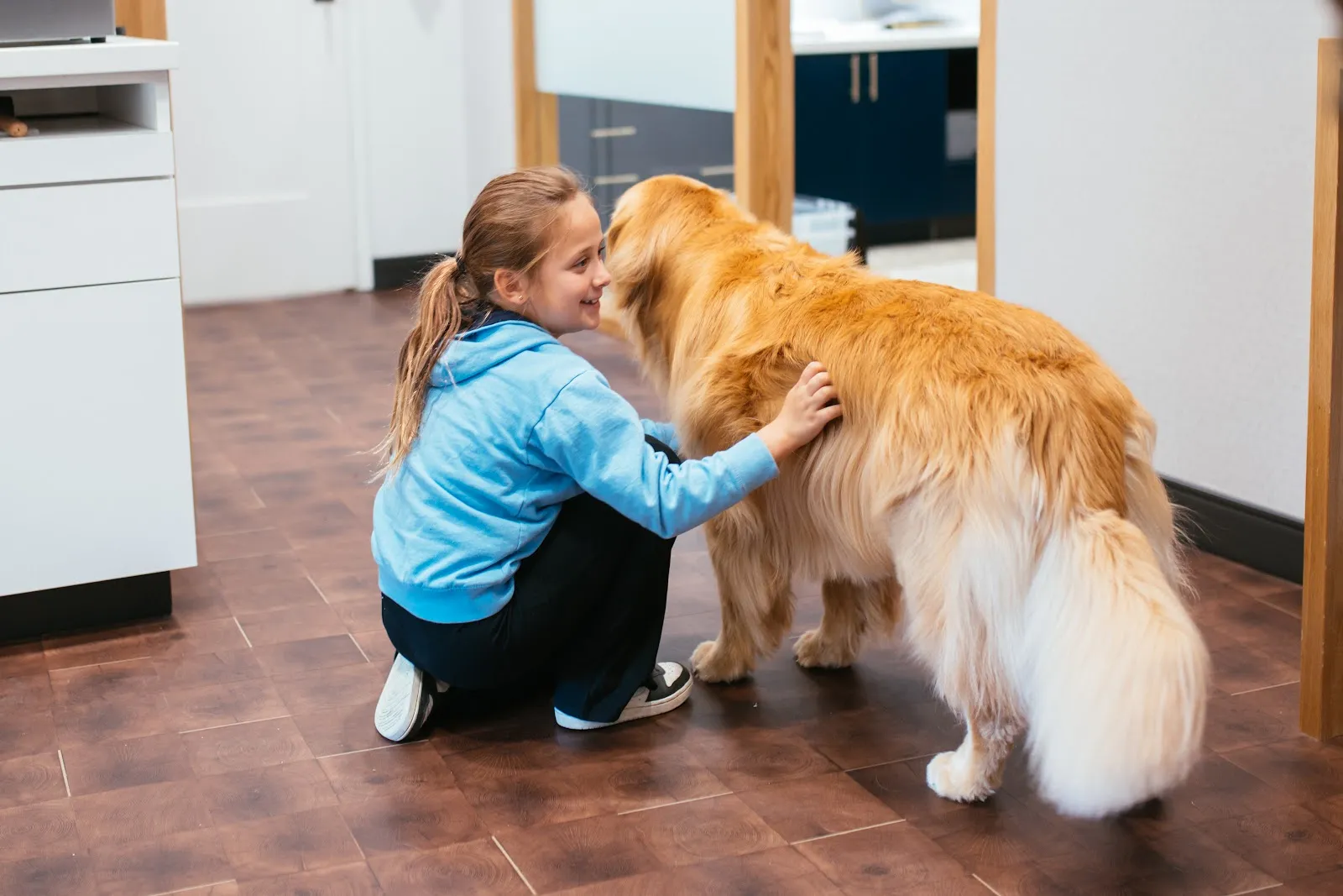 Young patient hugging Louie, the Golden Retriever therapy dog at Sturgill Orthodontics, serving families in Bristol, TN and Bristol, VA